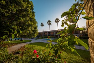 Jardín