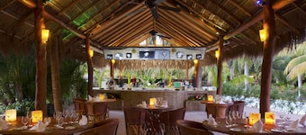 El Dorado Royale, Catamaran, Cenote, All & More Inclusive Adults Only