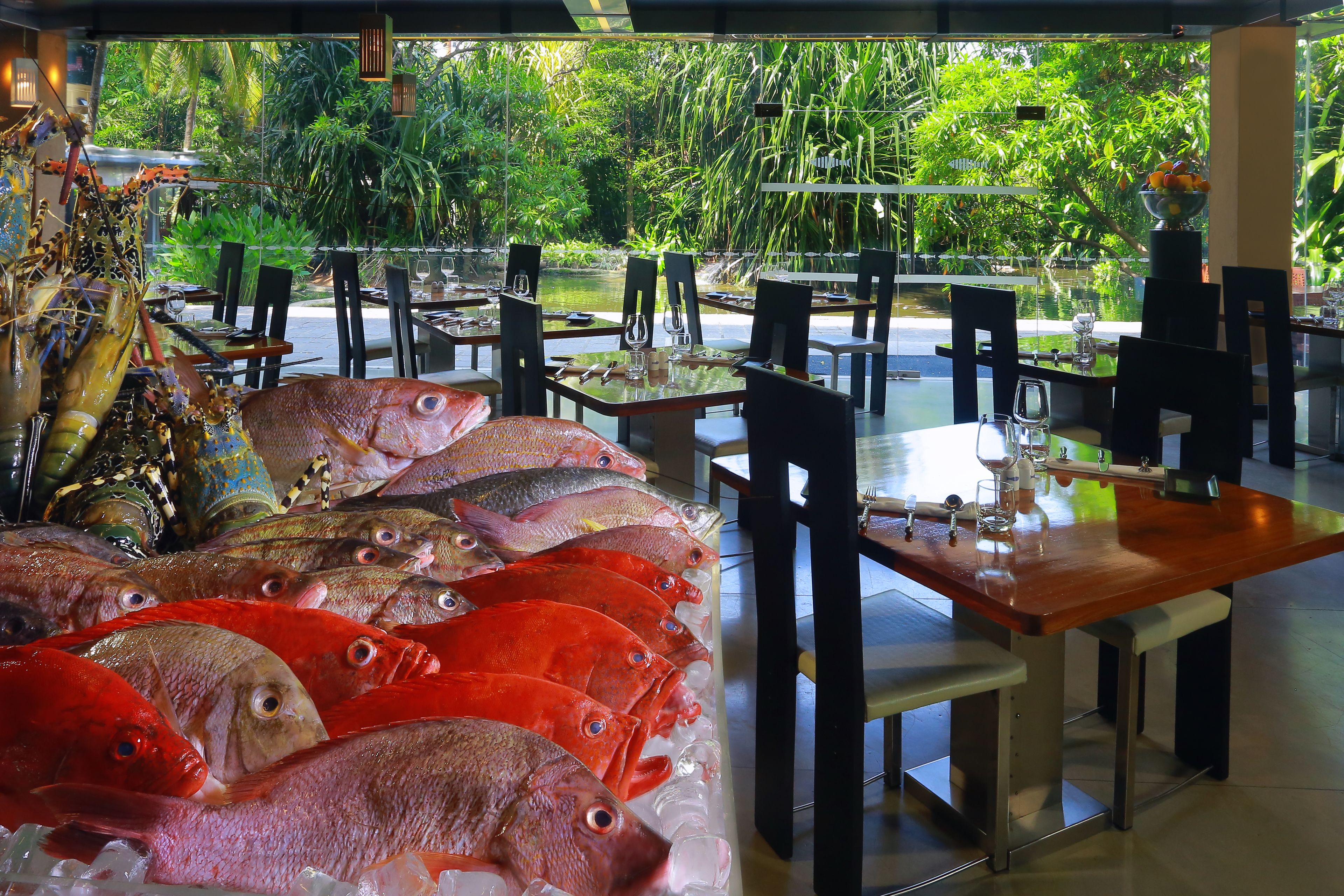 Foto - Cinnamon Grand Colombo