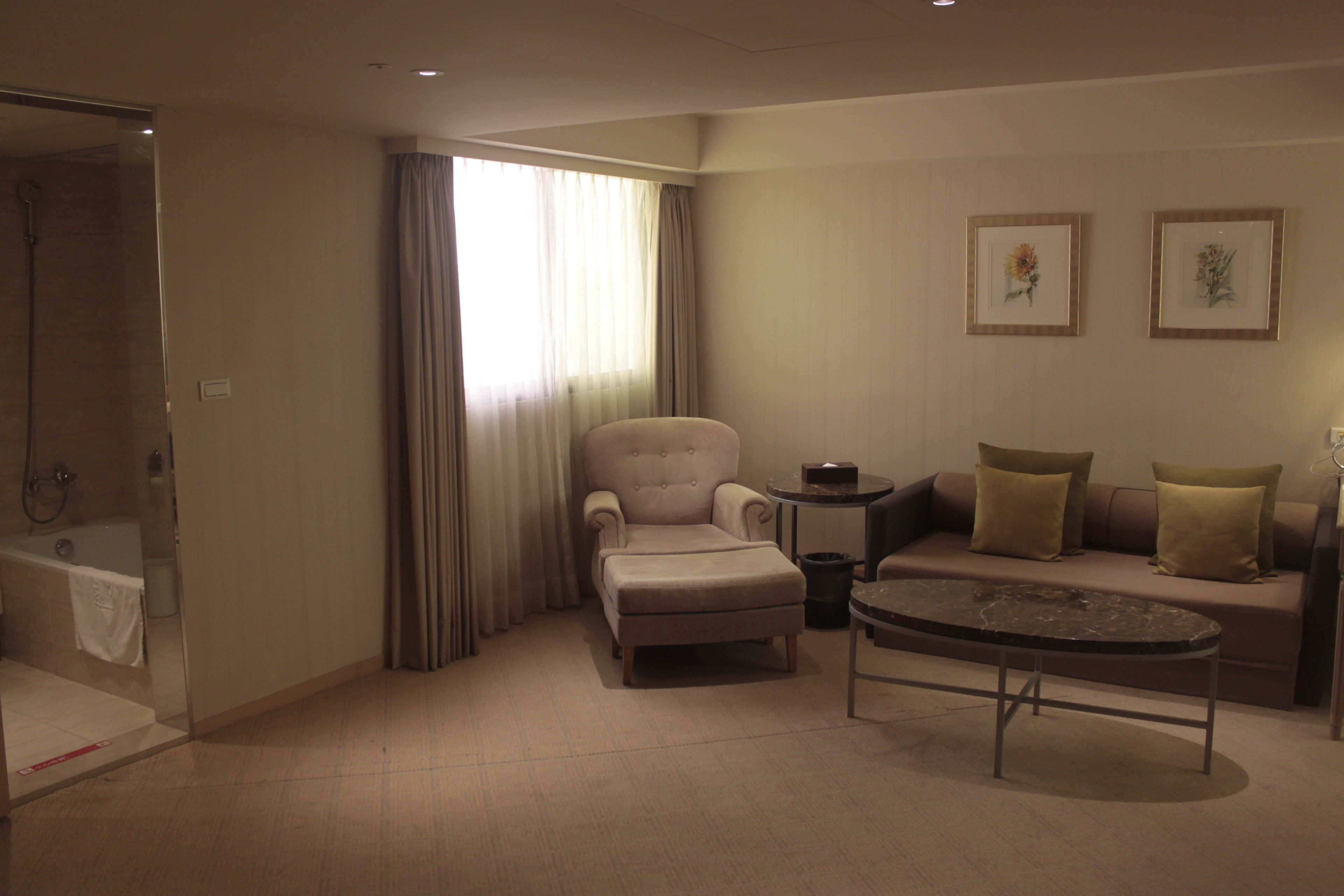 deluxe suite king | view from room