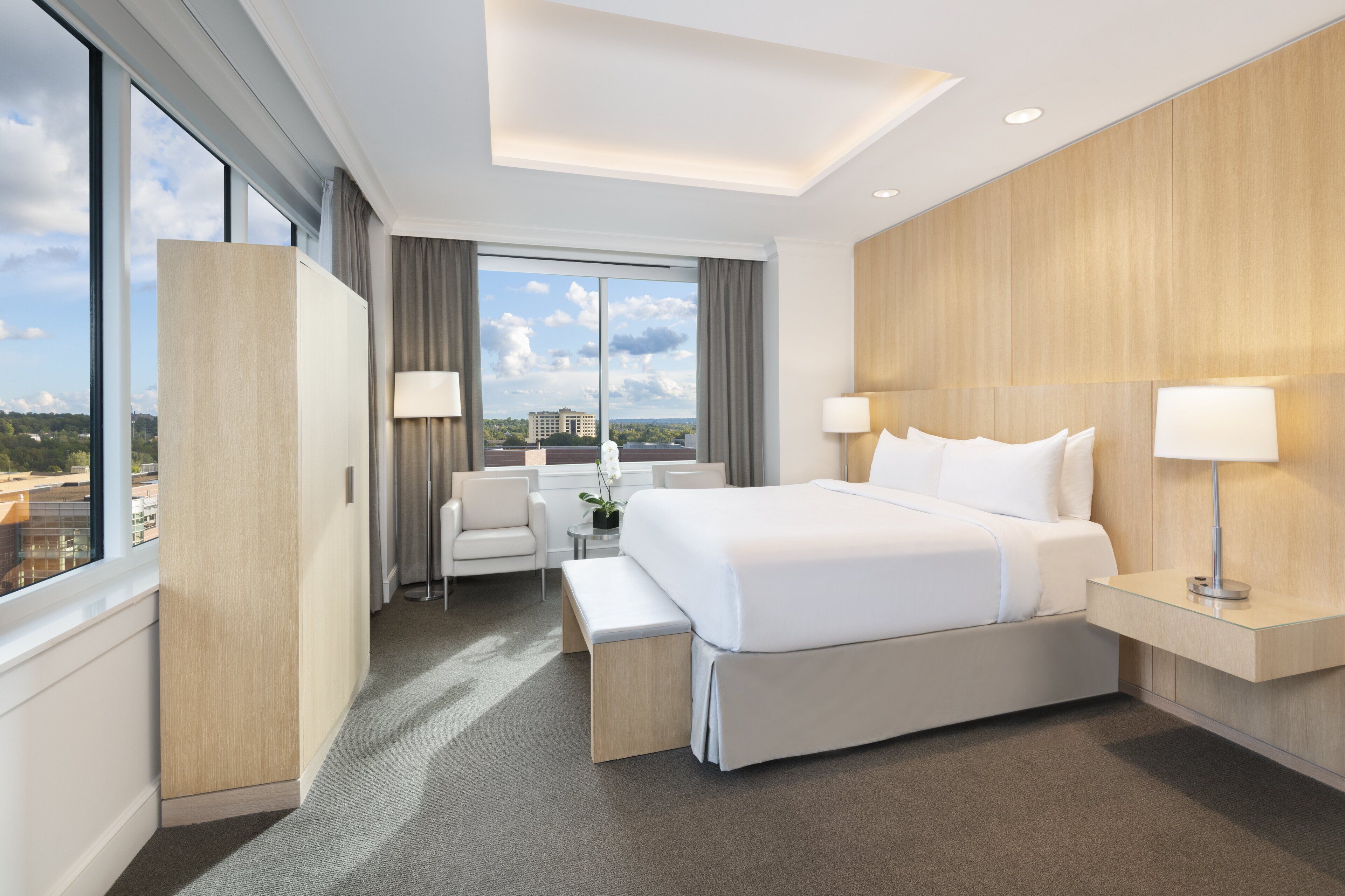 Sábanas de algodón egipcio, ropa de cama de alta calidad y edredón 