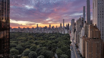 A cityscape with a dense urban area, a park with trees, and a sunset sky.