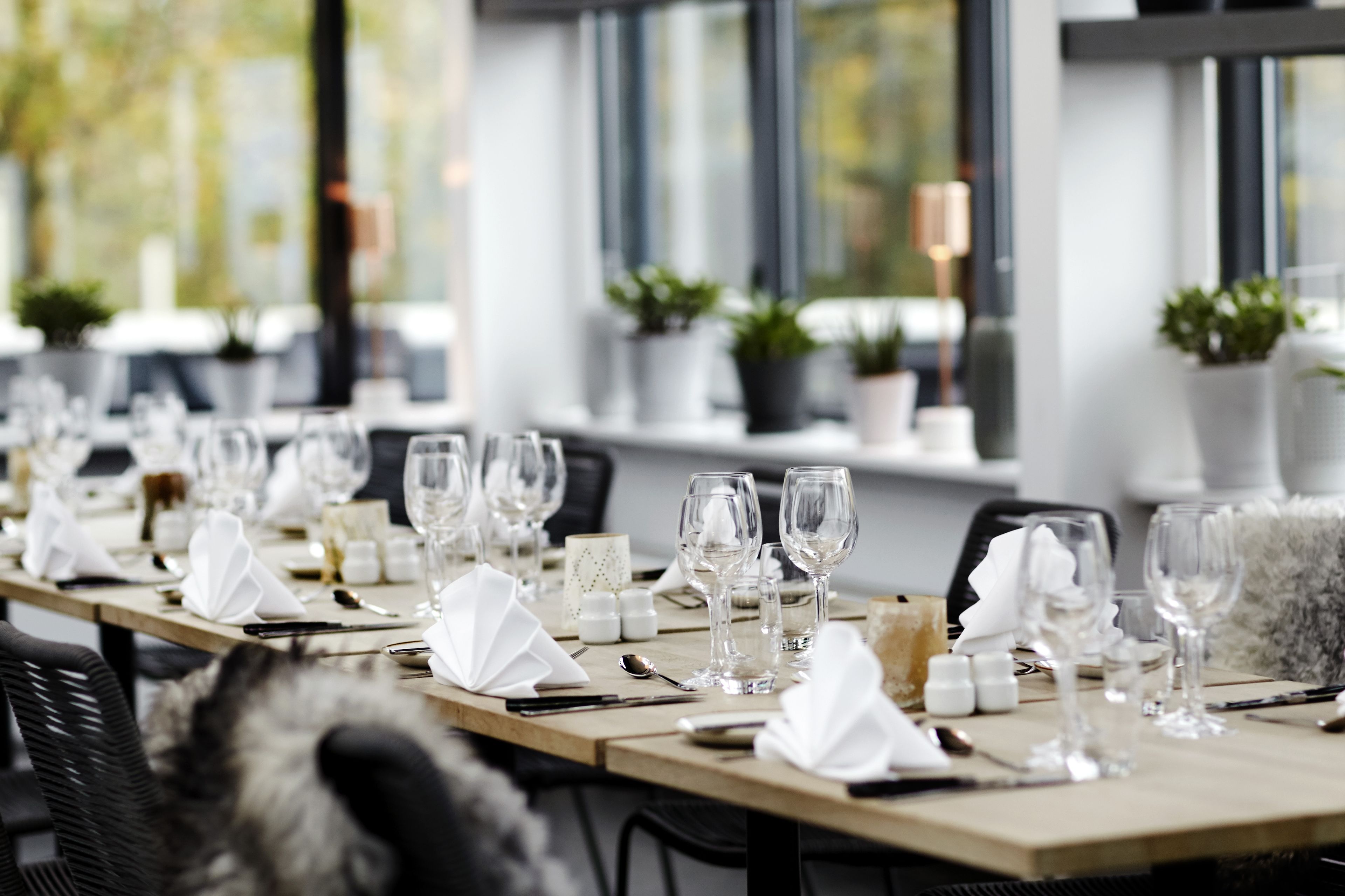 A long dining table set with white napkins, wine glasses, and cutlery, with potted plants and a window in the background.