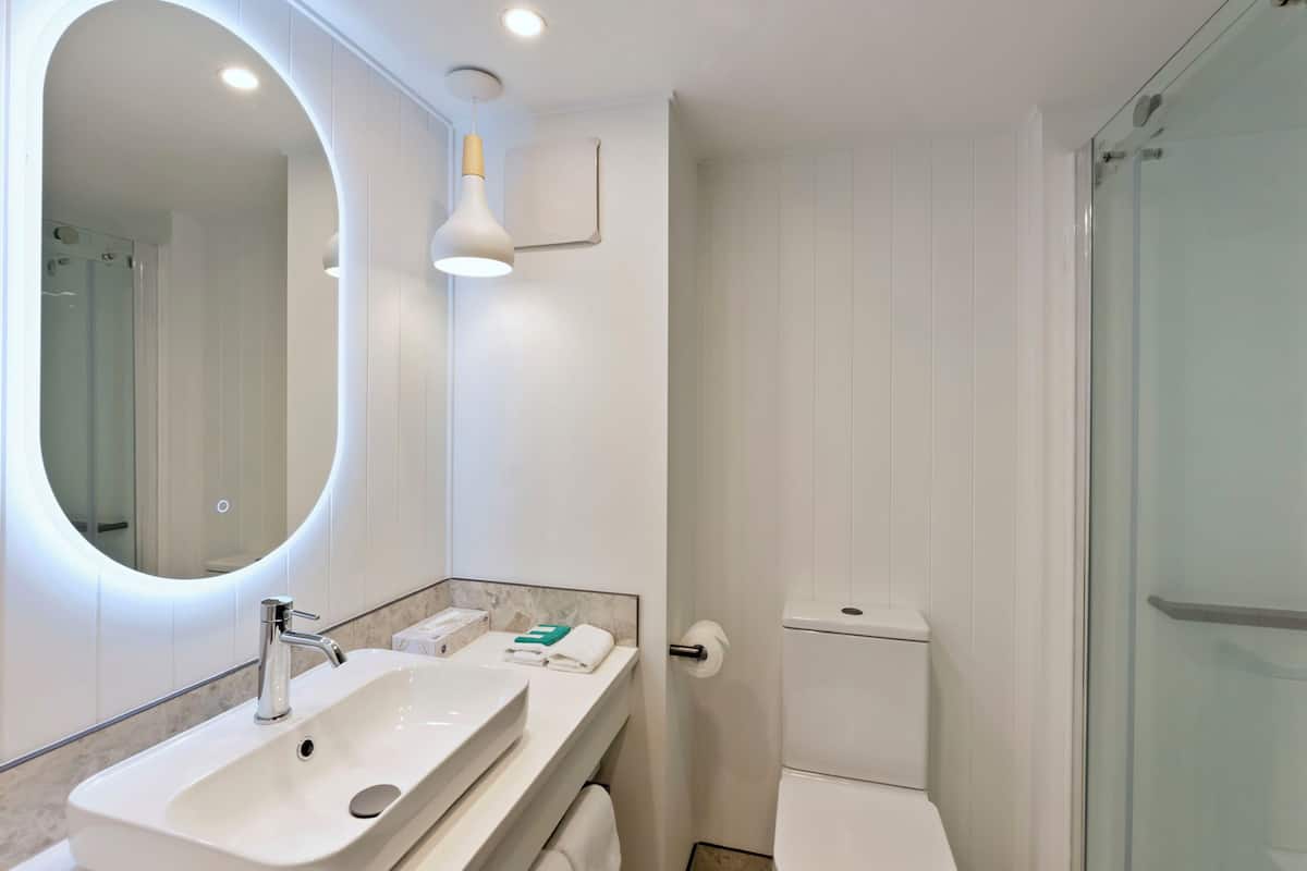 Combined shower/bathtub, free toiletries, hair dryer, towels