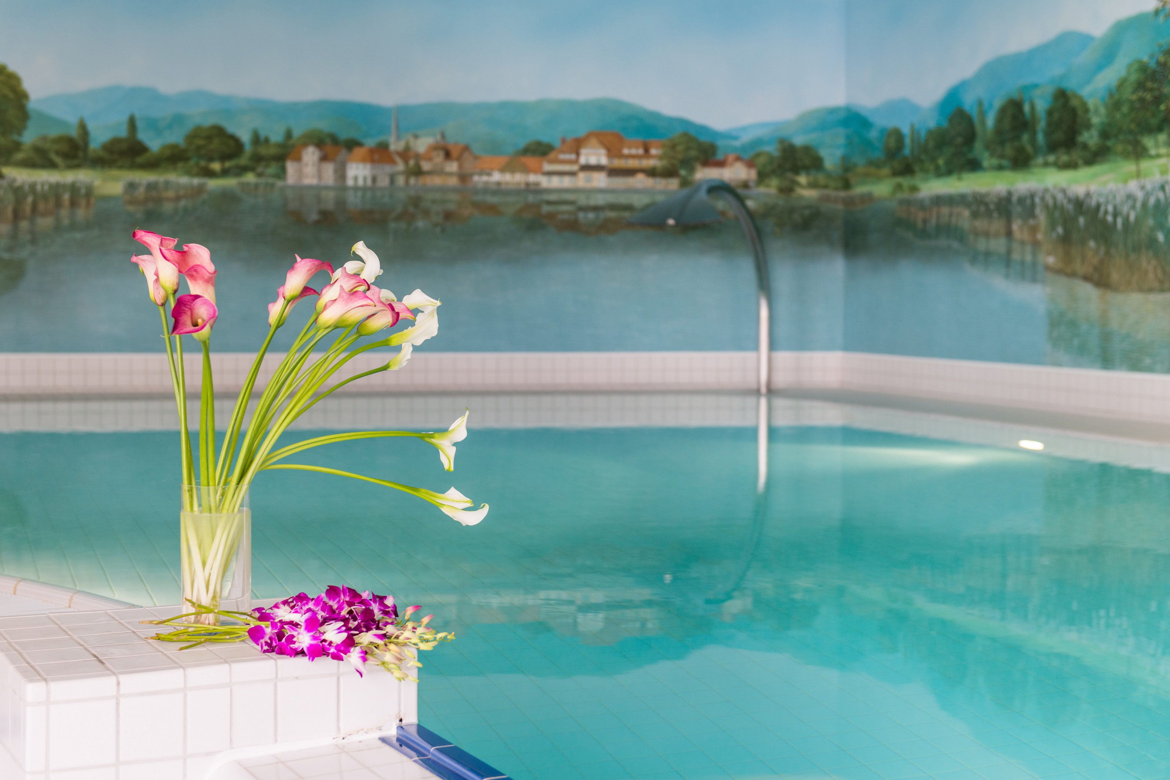 Area piscina con un vaso di fiori e un murale panoramico sullo sfondo.