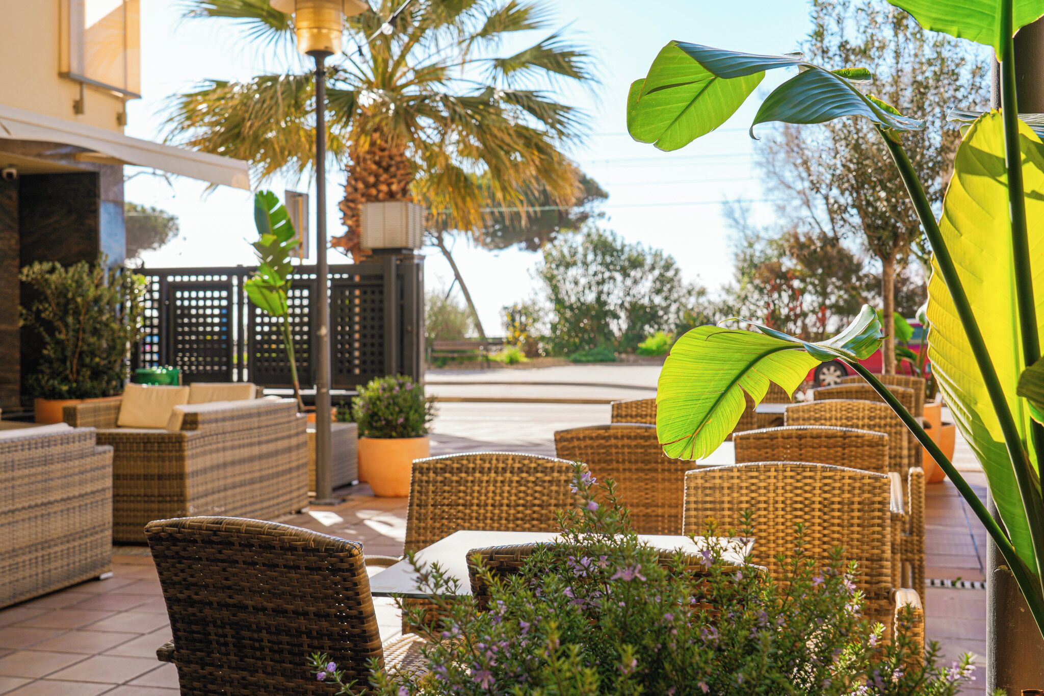 An outdoor seating area with wicker furniture, potted plants, and a palm tree.