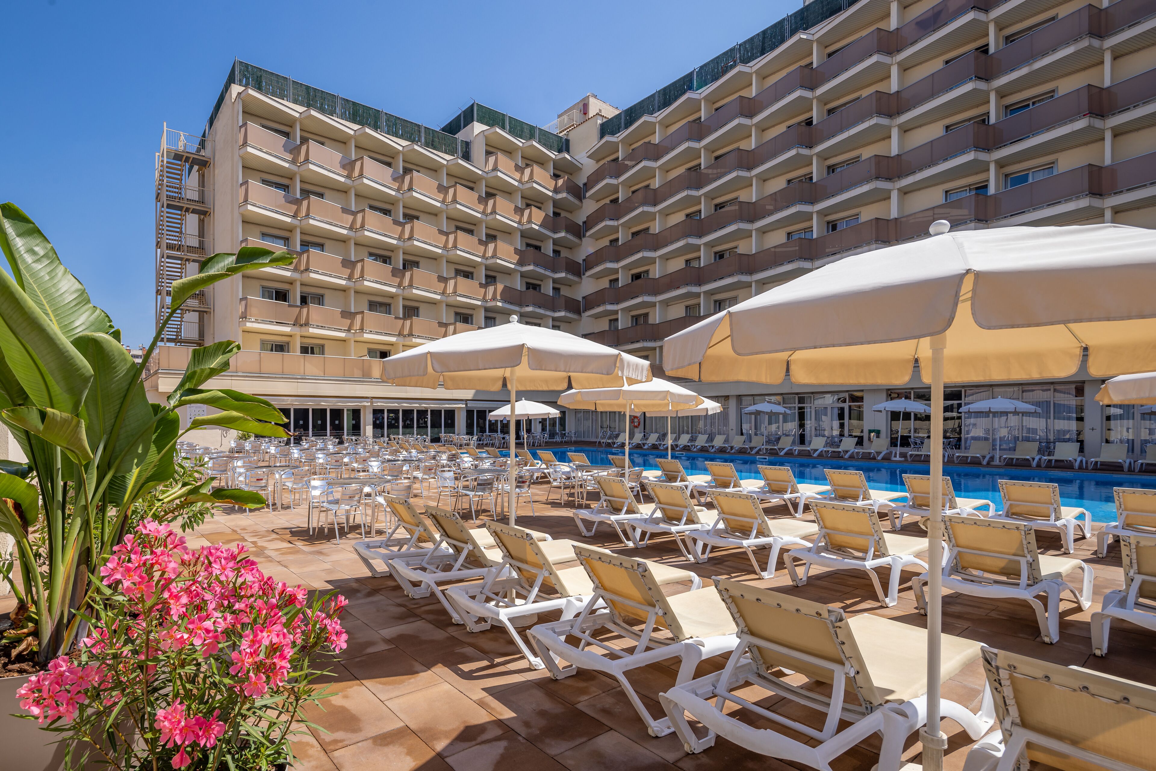 Foto - htop Amatista #htopBliss