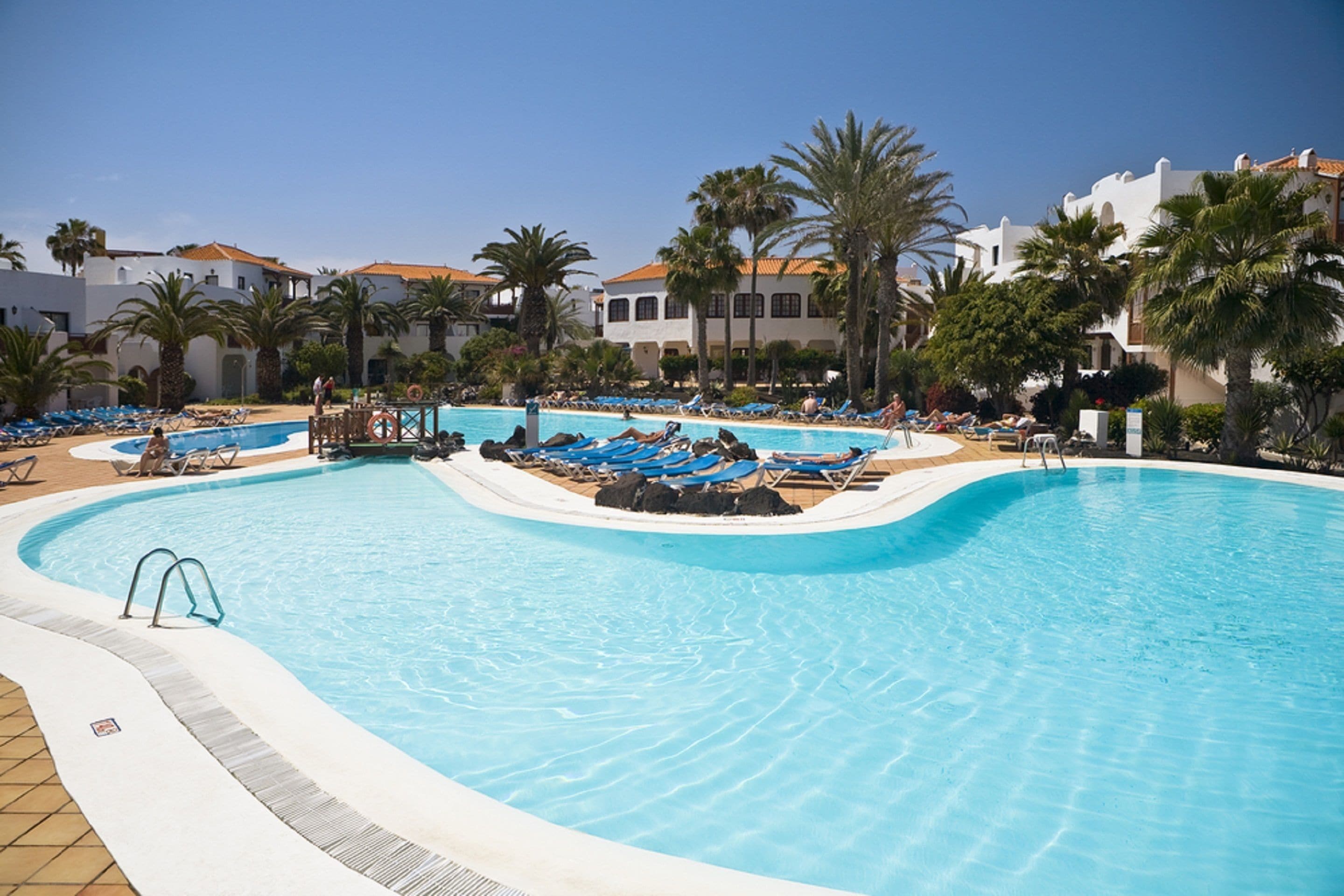 Una piscina amplia con sillones reclinables azules y palmeras.