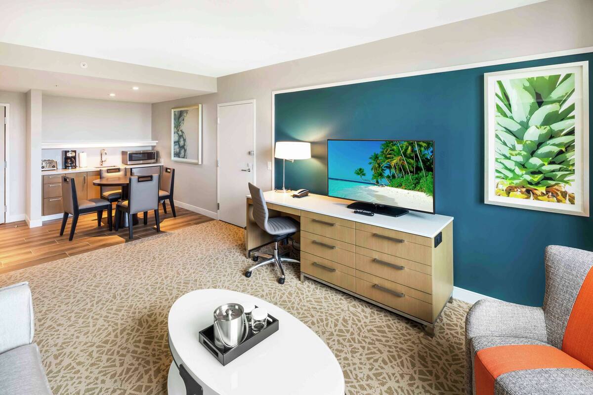 A modern hotel room with a dining area, a TV, and a large plant.