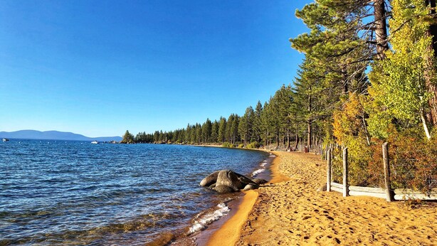 A beach with clear blue water, a sandy shore, and a line of trees.