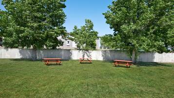 Vista desde la propiedad