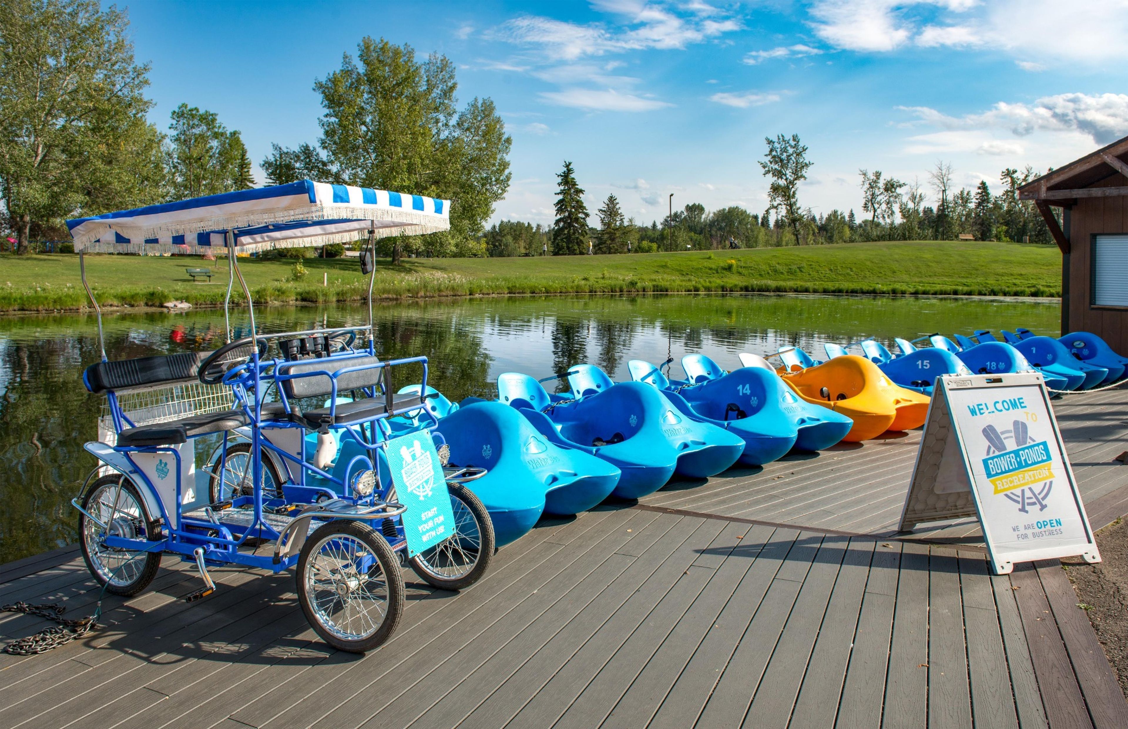 A paddle boat rental area with a row of colorful boats and a blue and white cart.