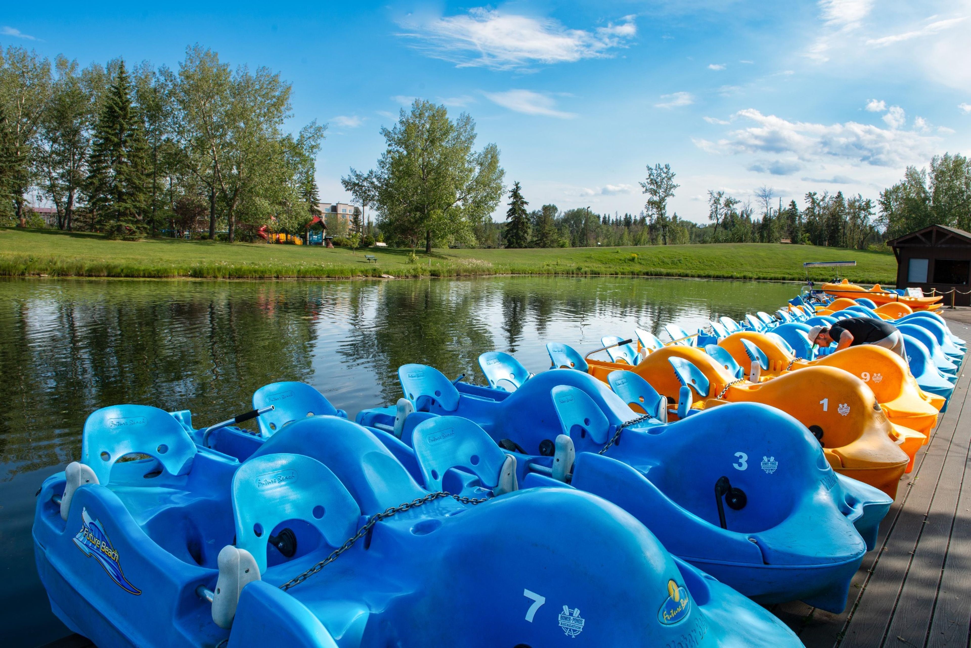 A row of paddle boats docked at a lakeside facility with a grassy area and trees in the background.