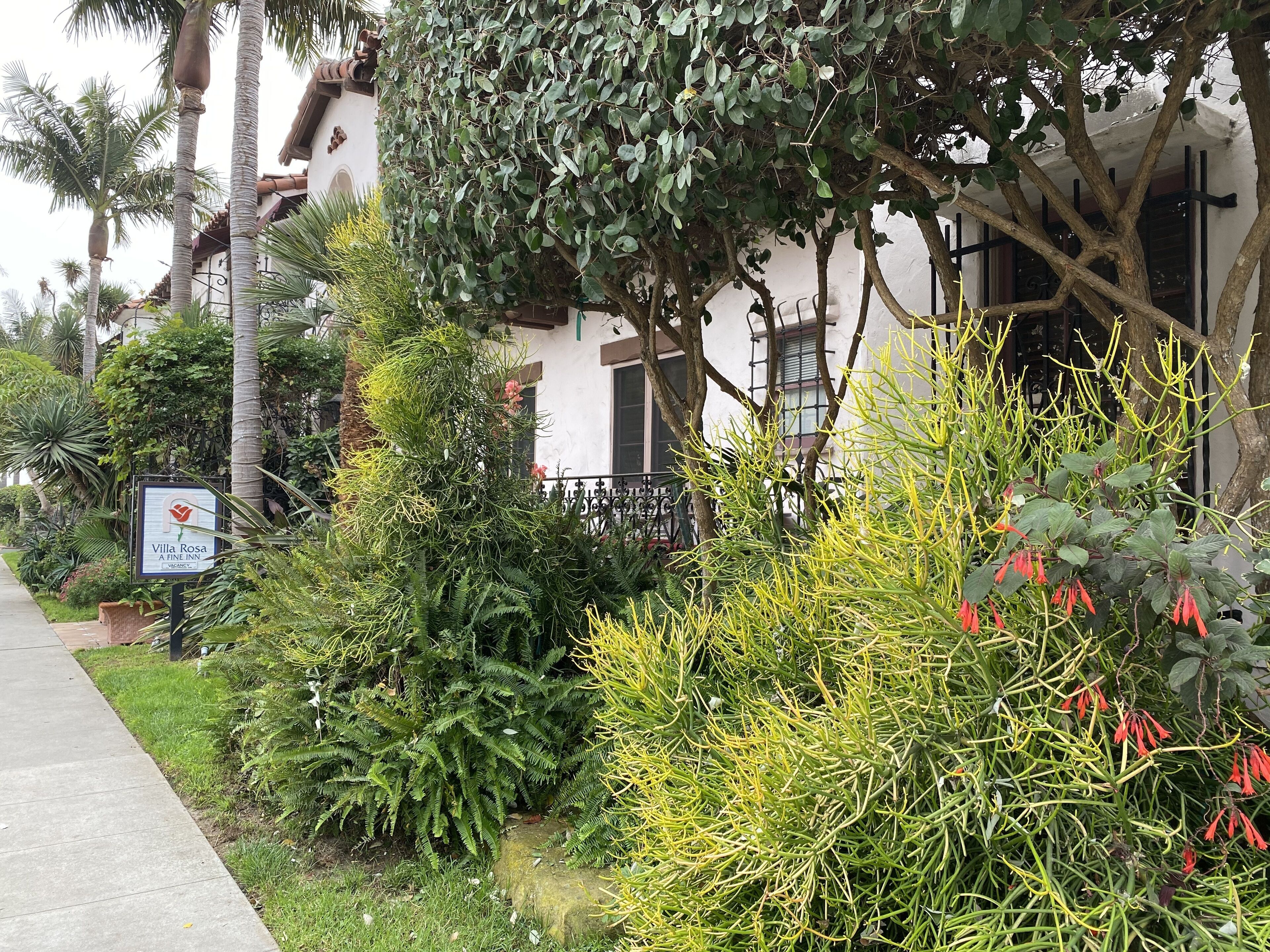 Photo - Villa Rosa Inn