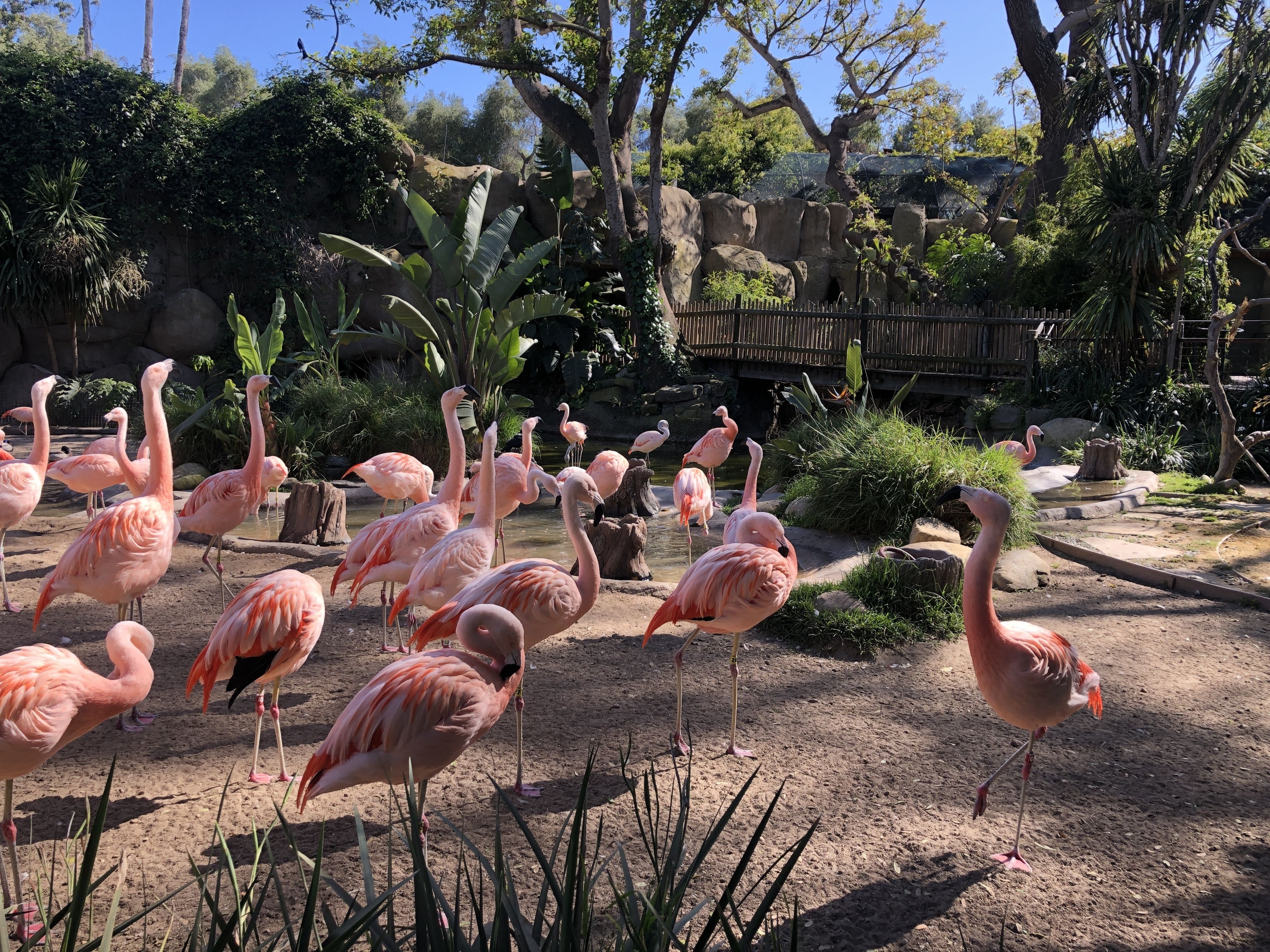 Photo - Villa Rosa Inn