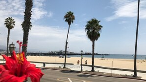 Ein Strand mit Palmen, einer Mole und einer Straße mit Fußgängerüberweg.