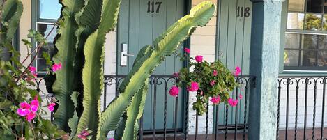 Een gebouw met groene deuren met de nummers 117 en 118, een ijzeren hek en een cactus met roze bloemen.