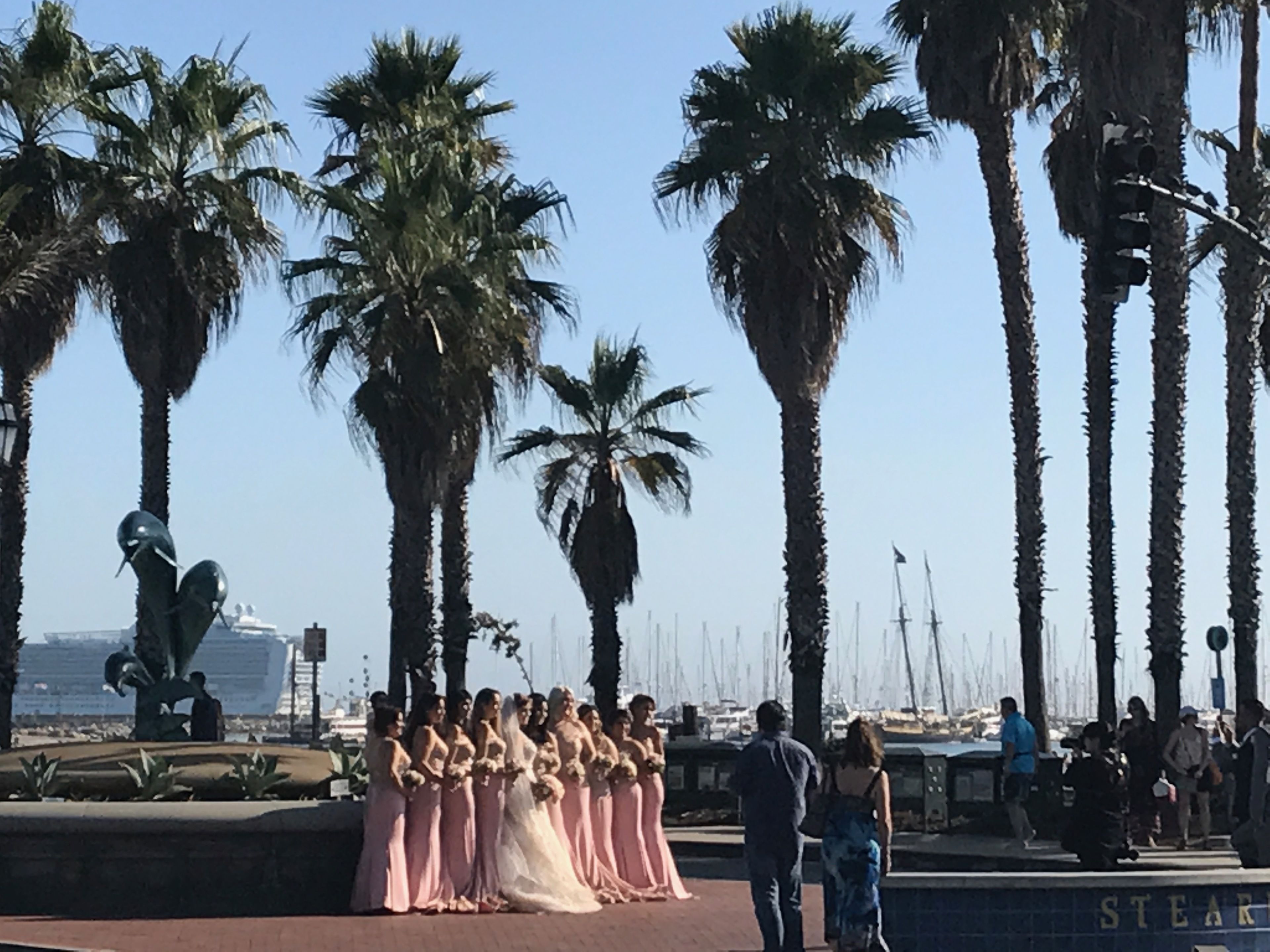 A group of people in pink dresses standing in a line, palm trees, and a marina with boats in the background.