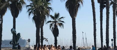 A group of people in pink dresses standing in a line, palm trees, and a marina with boats in the background.
