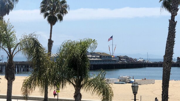 A beach with palm trees, a pier, and a flag. - Ala Mar by the Sea (Santa Barbara)