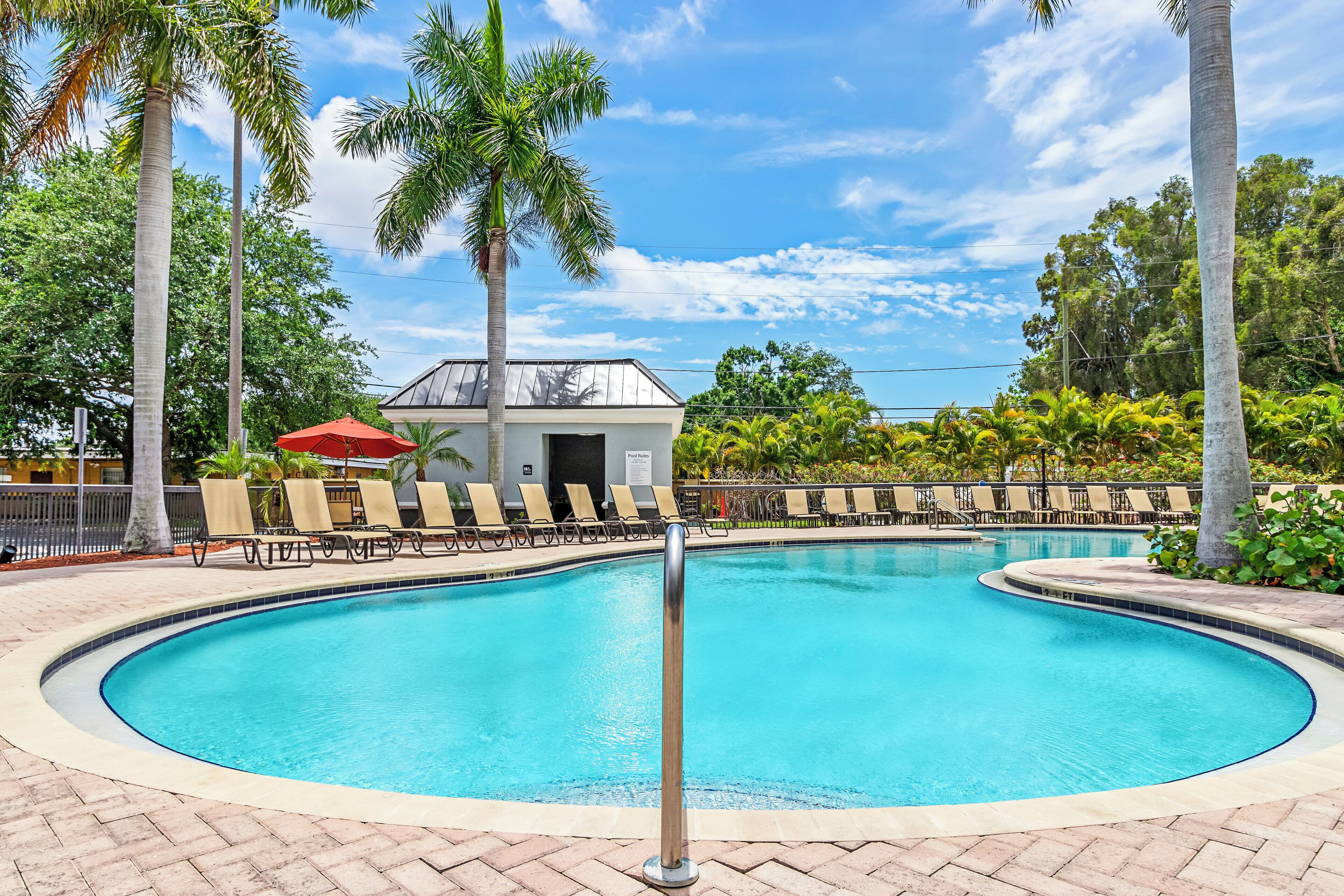 A swimming pool with lounge chairs and palm trees.