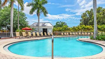 A swimming pool with lounge chairs and palm trees.