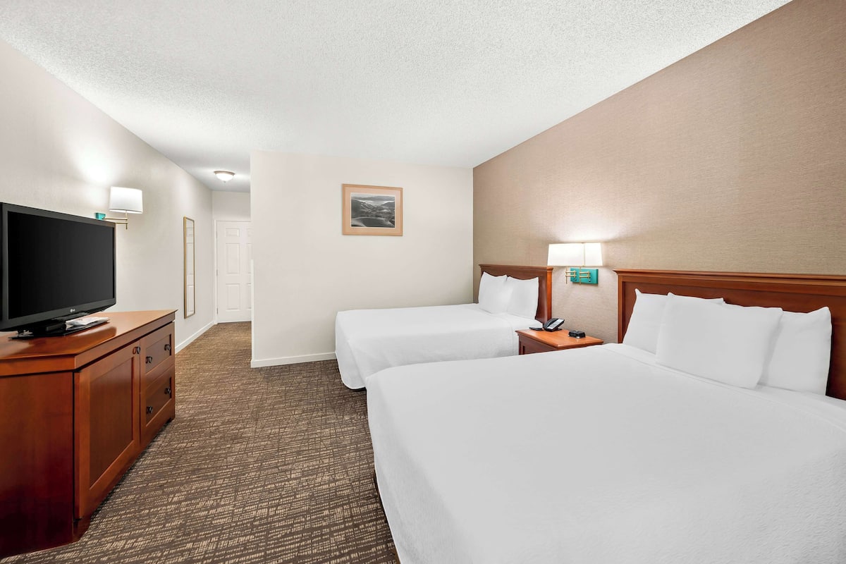 A hotel room with two beds, a TV, a desk, and a lamp.