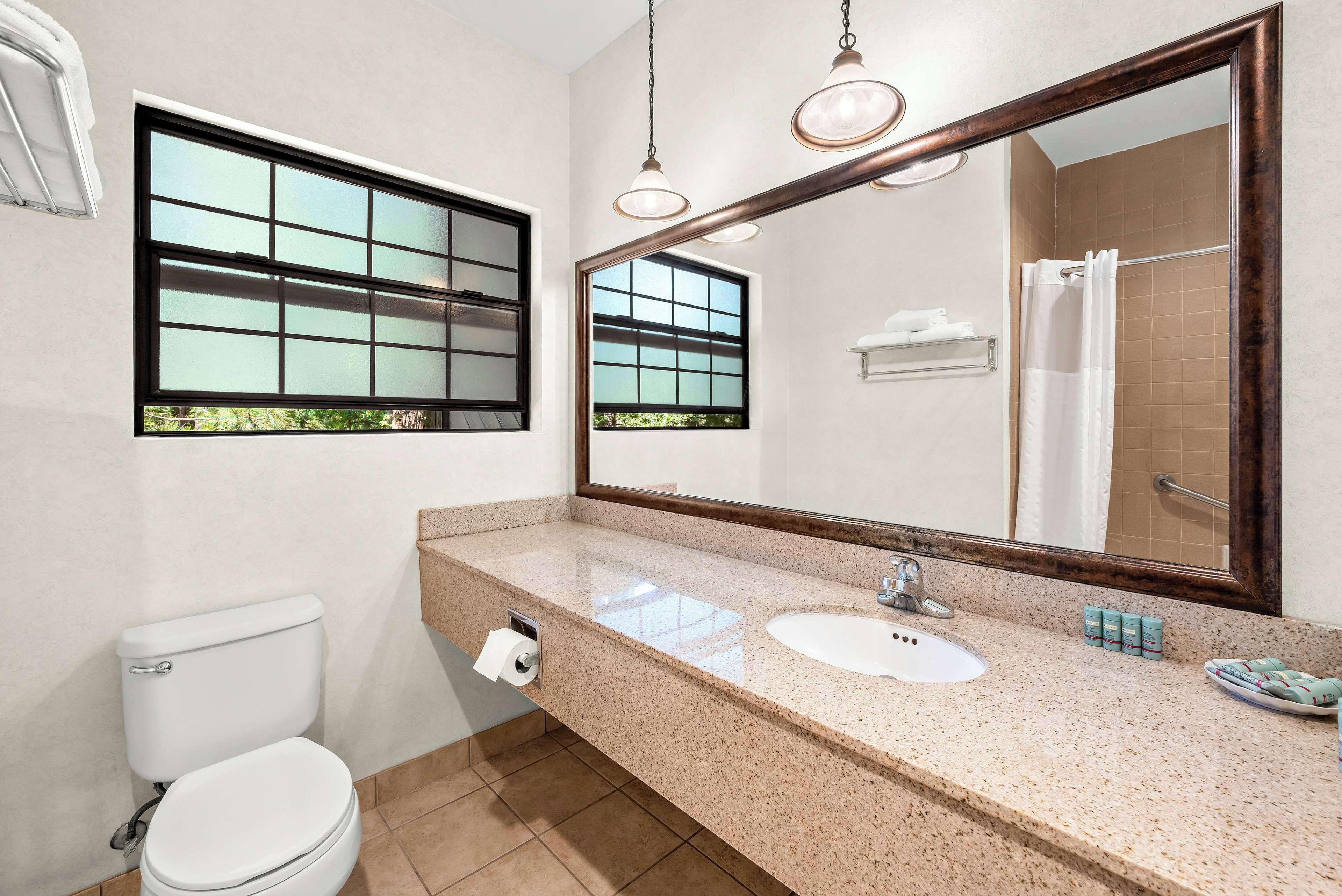 suite, 1 king bed, non smoking, refrigerator & microwave (living room;with sofabed) | desk, laptop workspace, iron/ironing board, wifi