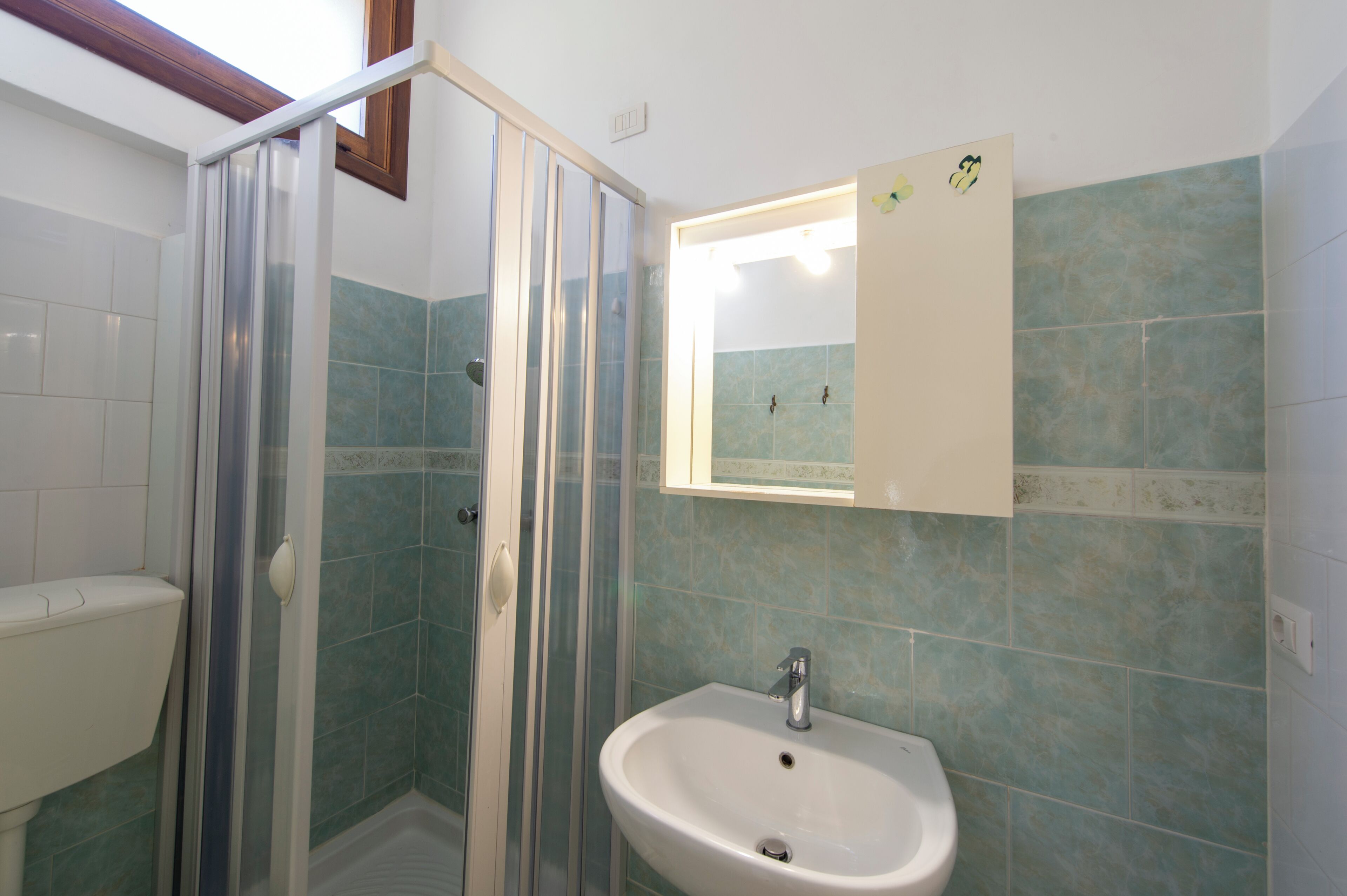 Un baño con ducha, lavabo y espejo.