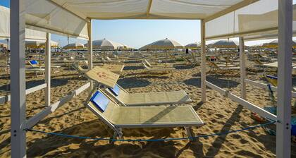 Hotel Dasamo - Dada Hotels