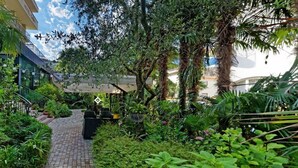 Un exuberante sendero de jardín que conduce a un edificio con un letrero que dice 'hotel garden'.