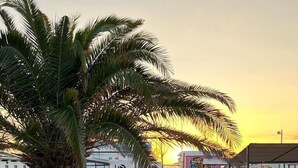 A paved pathway leading to beachside seating areas with palm trees and banners.