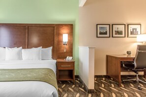 View from room - Comfort Suites Rolla (Rolla)