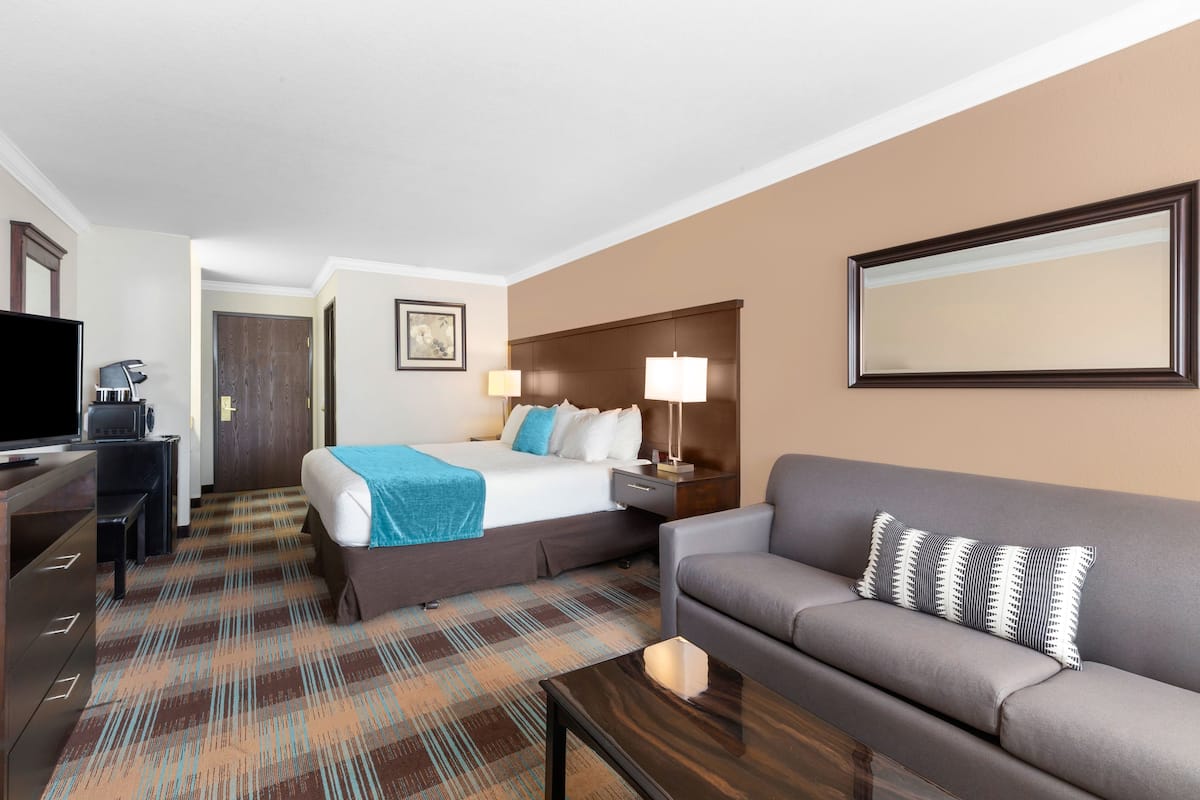 Una habitación de hotel con una cama, un sofá, un escritorio con computadora y televisor.