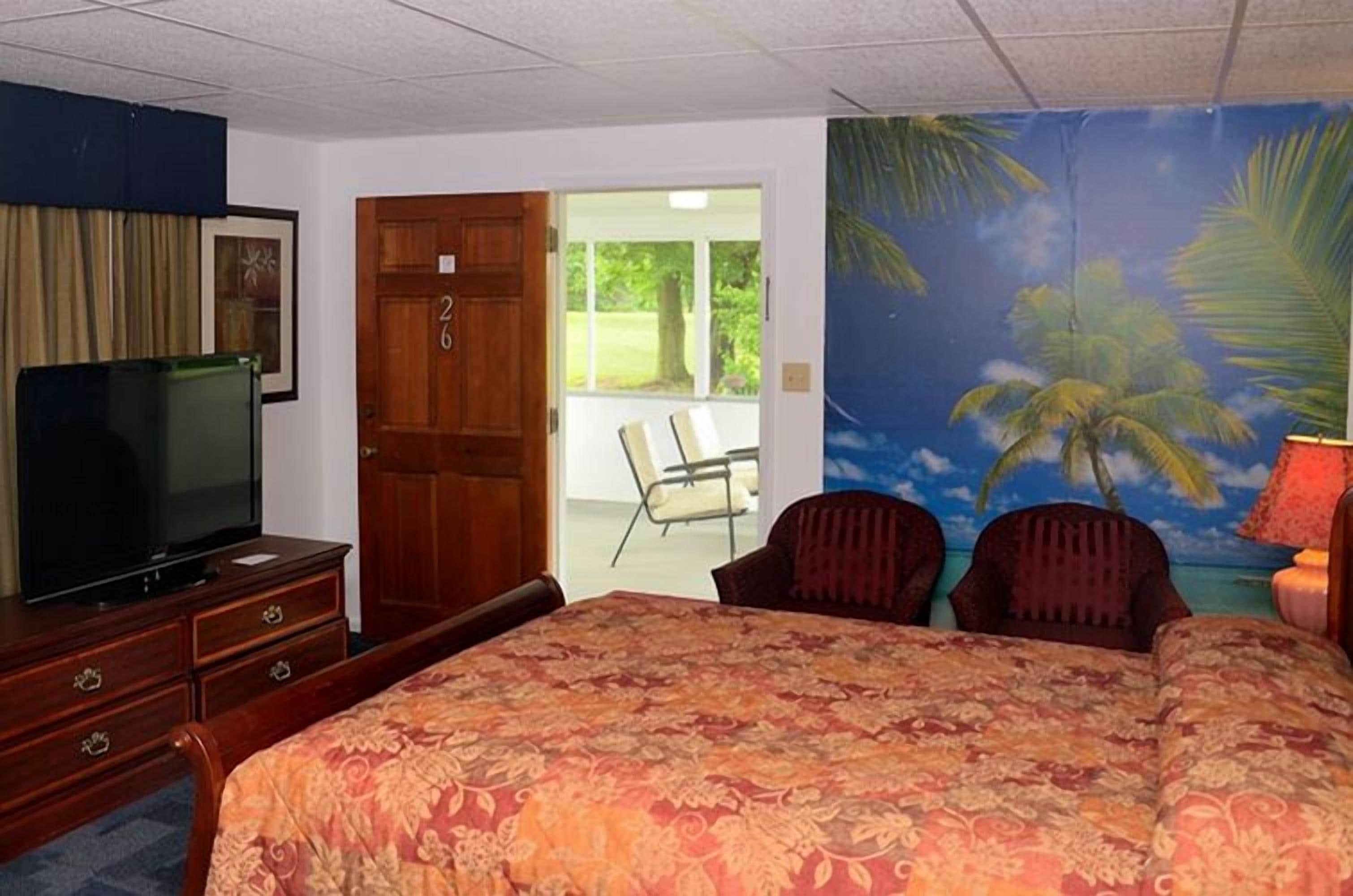 Habitación de hotel con cama, televisión, cómoda de madera y un mural de palmeras.