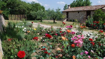 Bahçe
