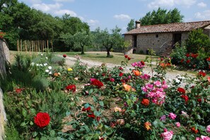Jardin
