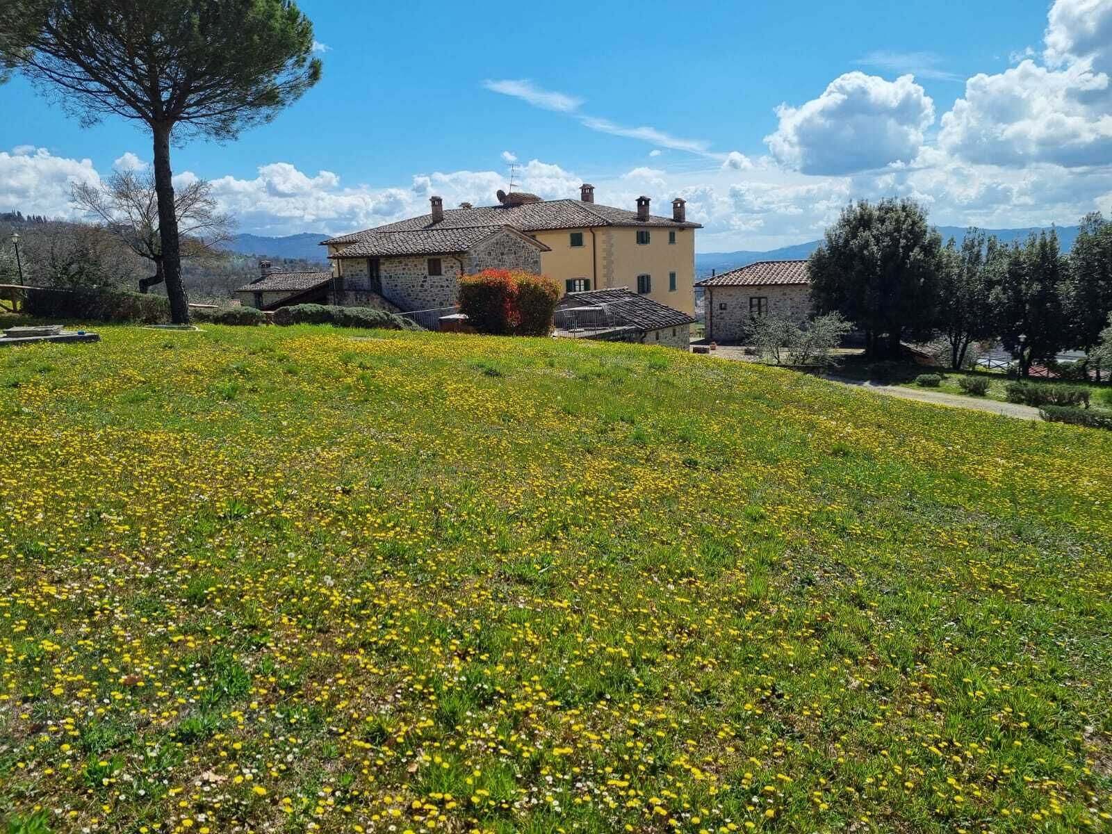 Un edificio de piedra con tejado de tejas, rodeado por un campo cubierto de césped y flores amarillas.