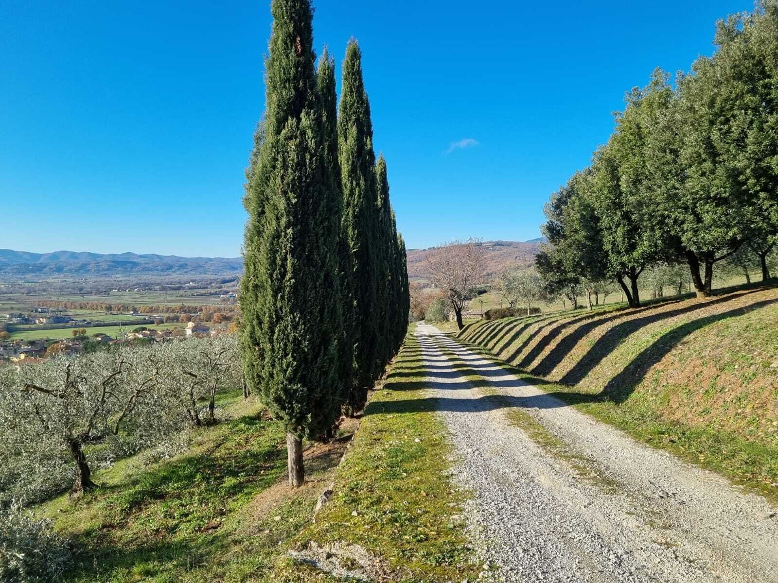 A gravel path leading through a rural landscape with cypress trees and a view of distant hills.