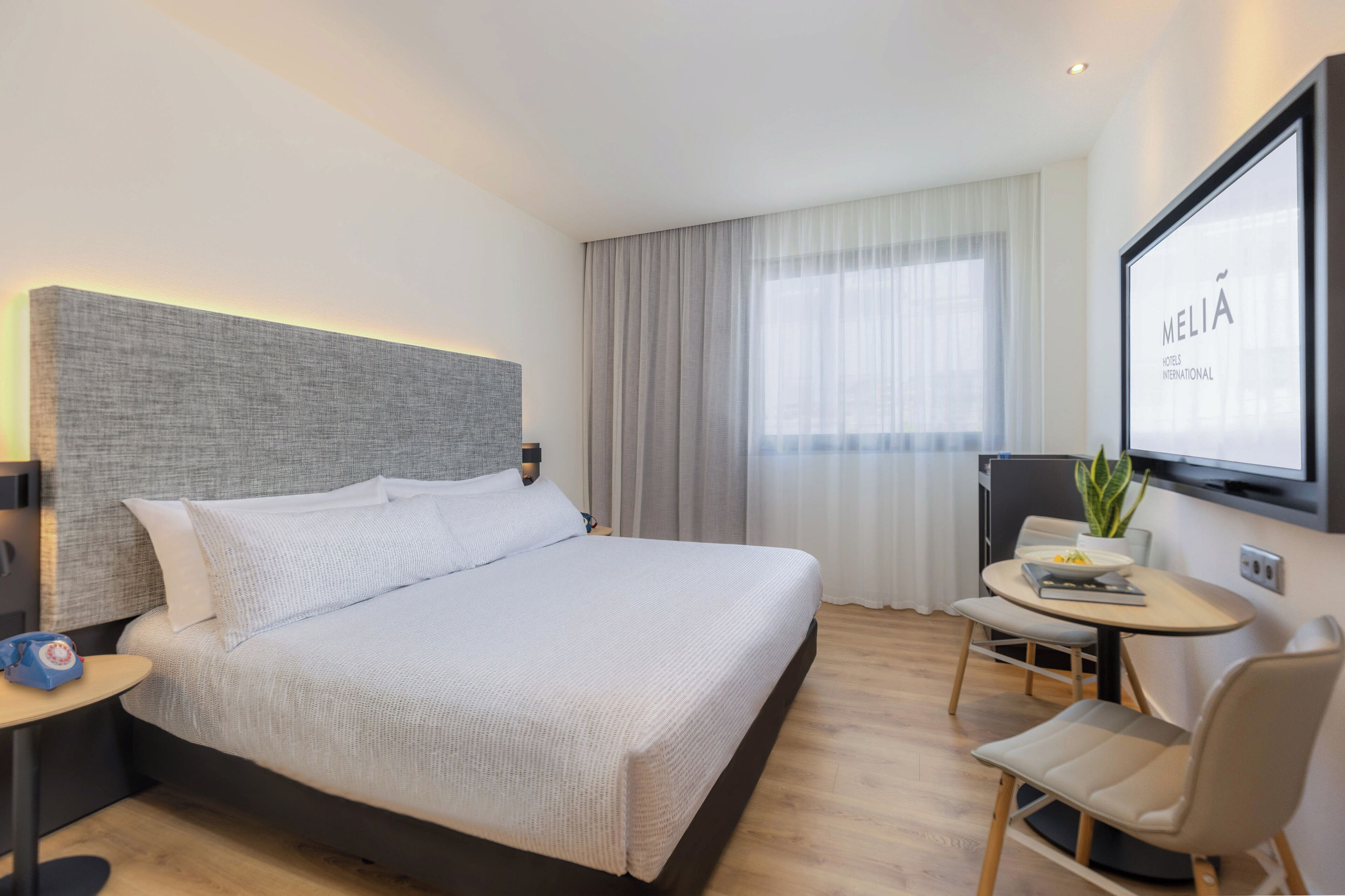 Et moderne hotelværelse med en stor seng, et lille bord med en stol, et fjernsyn og en plante.