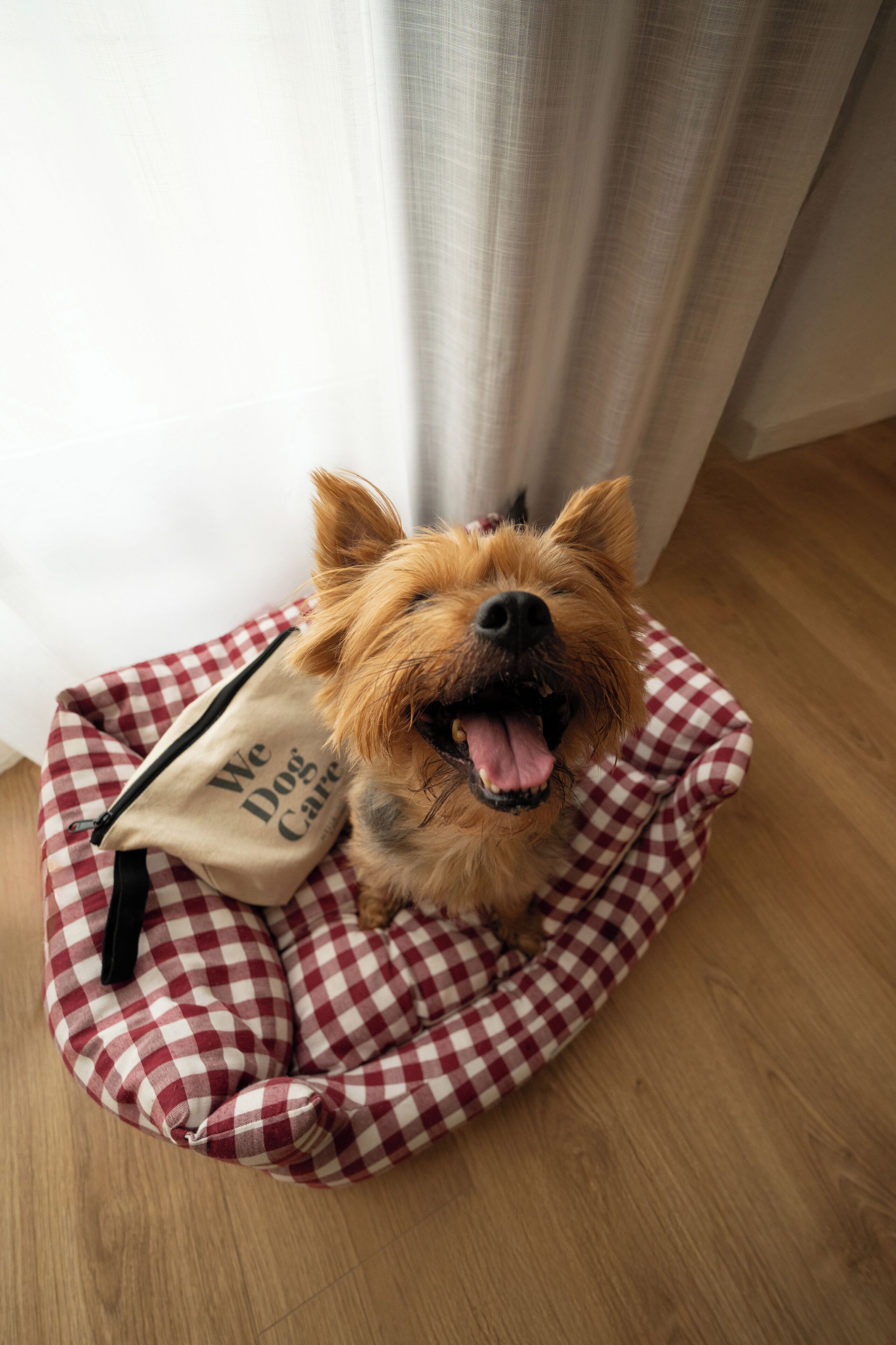 Foto - INNSiDE by Melia Valencia Oceanic