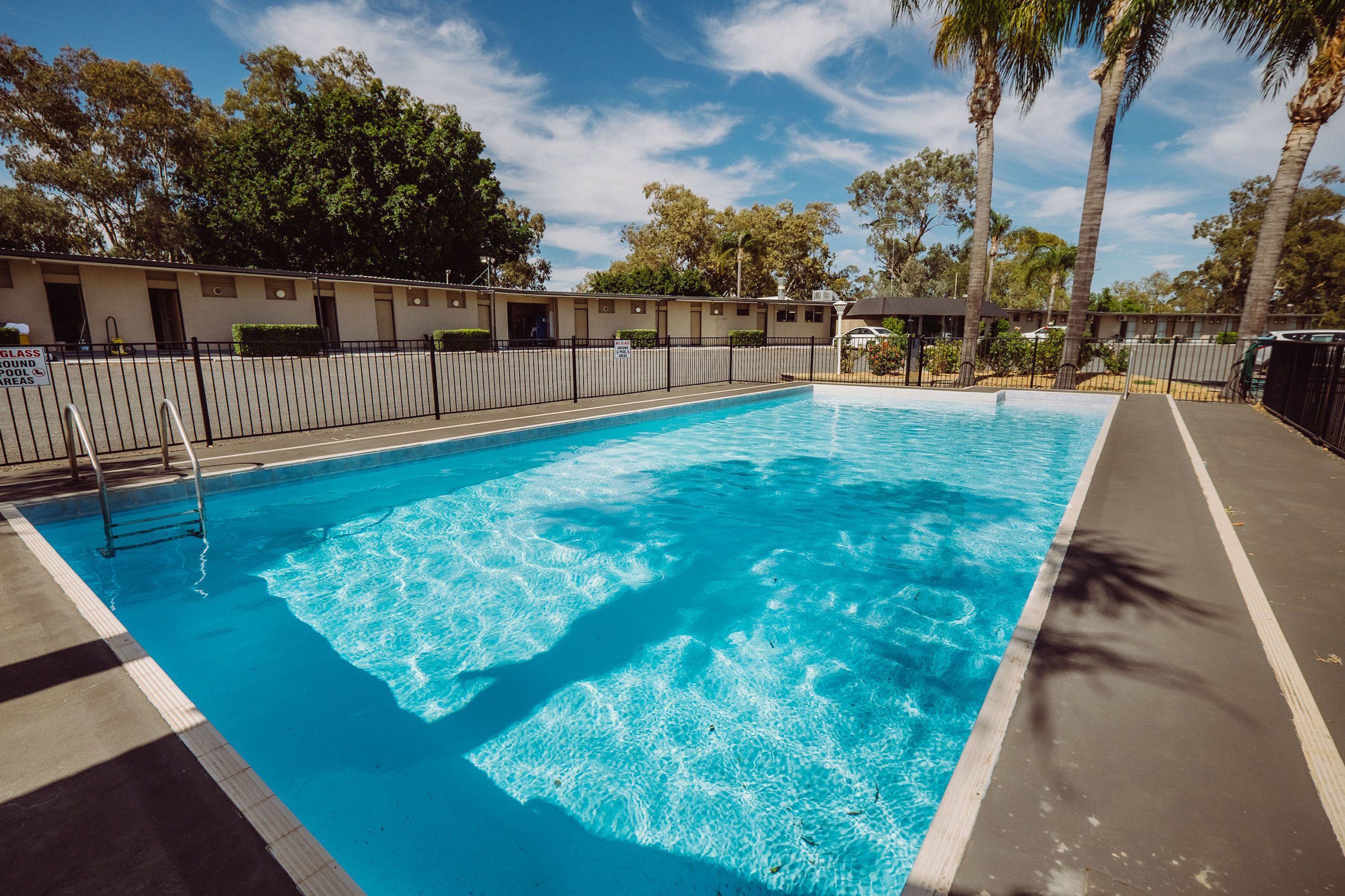 A rectangular swimming pool with clear blue water, surrounded by a black fence and palm trees.