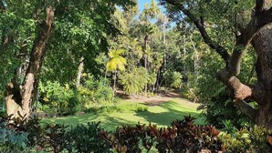 A lush garden with a variety of trees and shrubs, a clear path, and a well-maintained lawn. - The Q Motel (Allenstown)