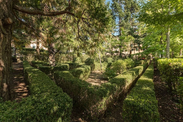Un jardin bien entretenu, avec des haies soigneusement taillées et un chemin central.