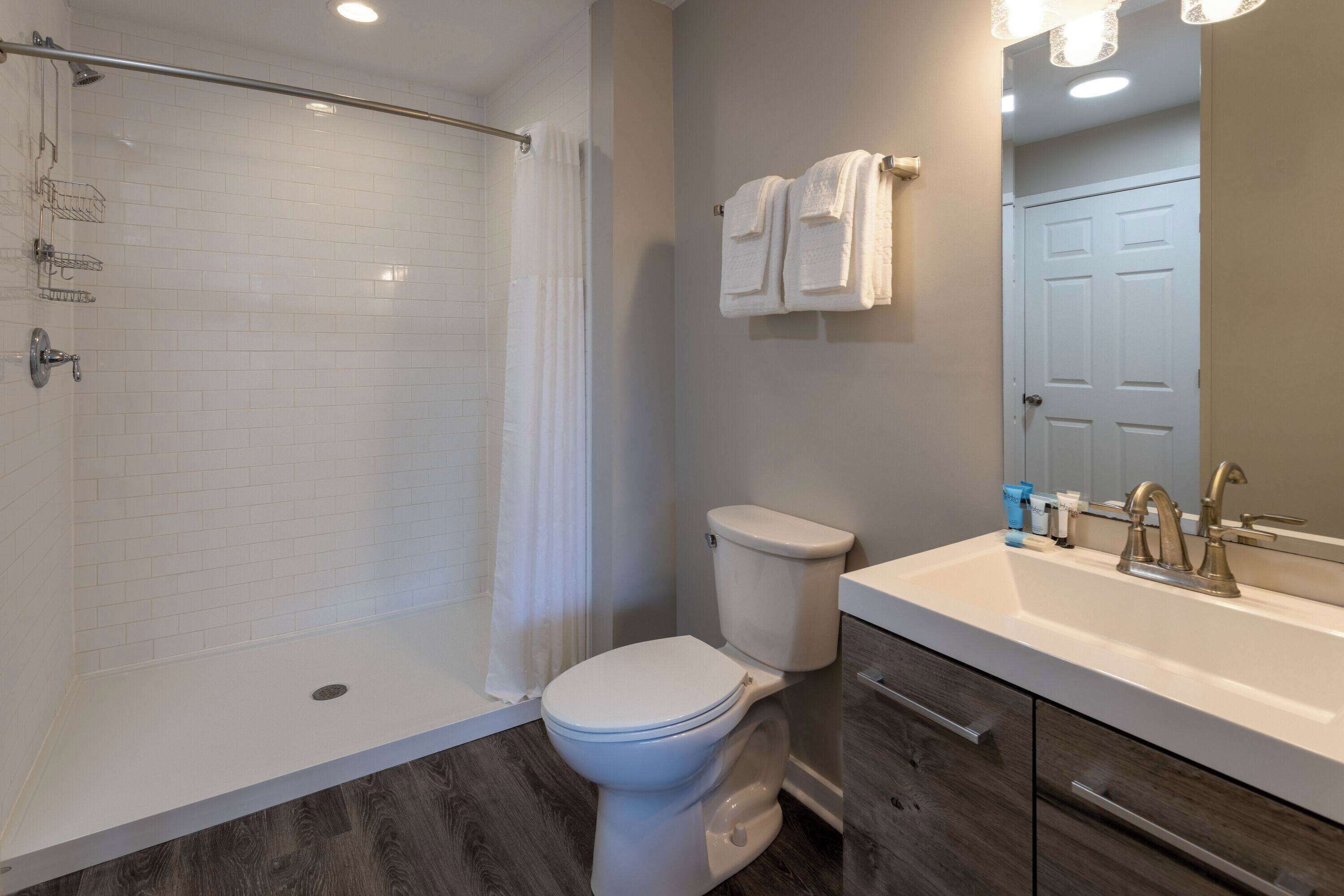 A modern bathroom with a walk-in shower, a toilet, and a sink with a mirror.