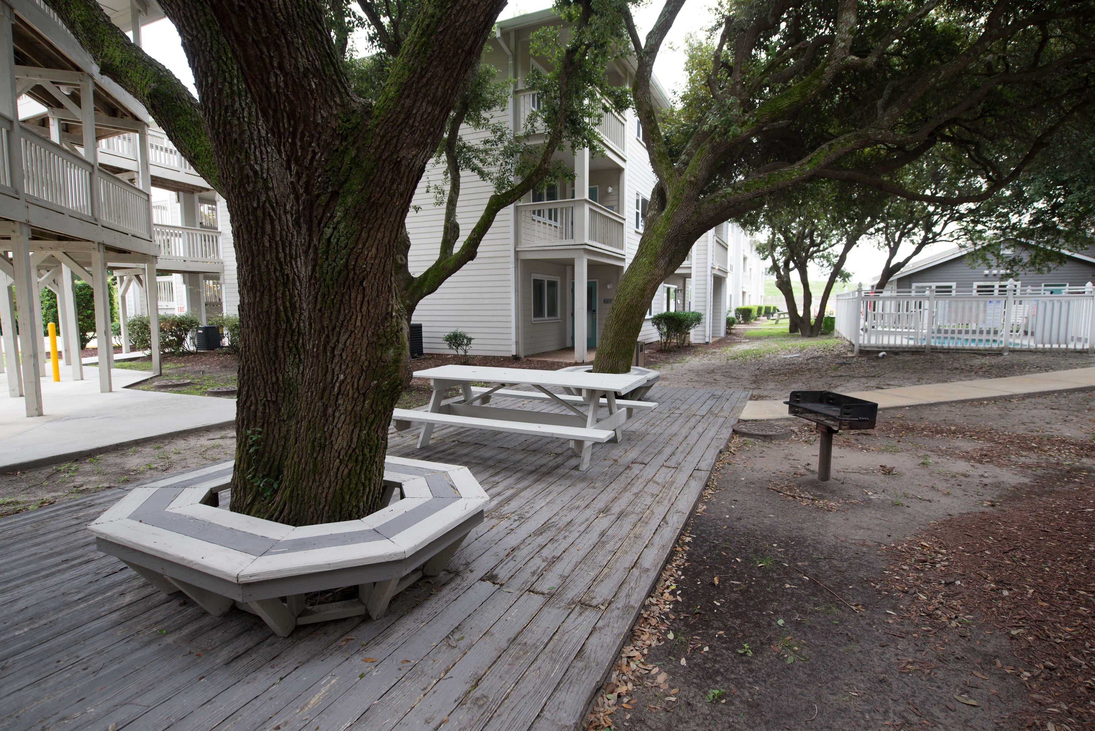 Una terraza de madera con mesas de picnic y bancos, rodeada de árboles y un edificio con balcones.