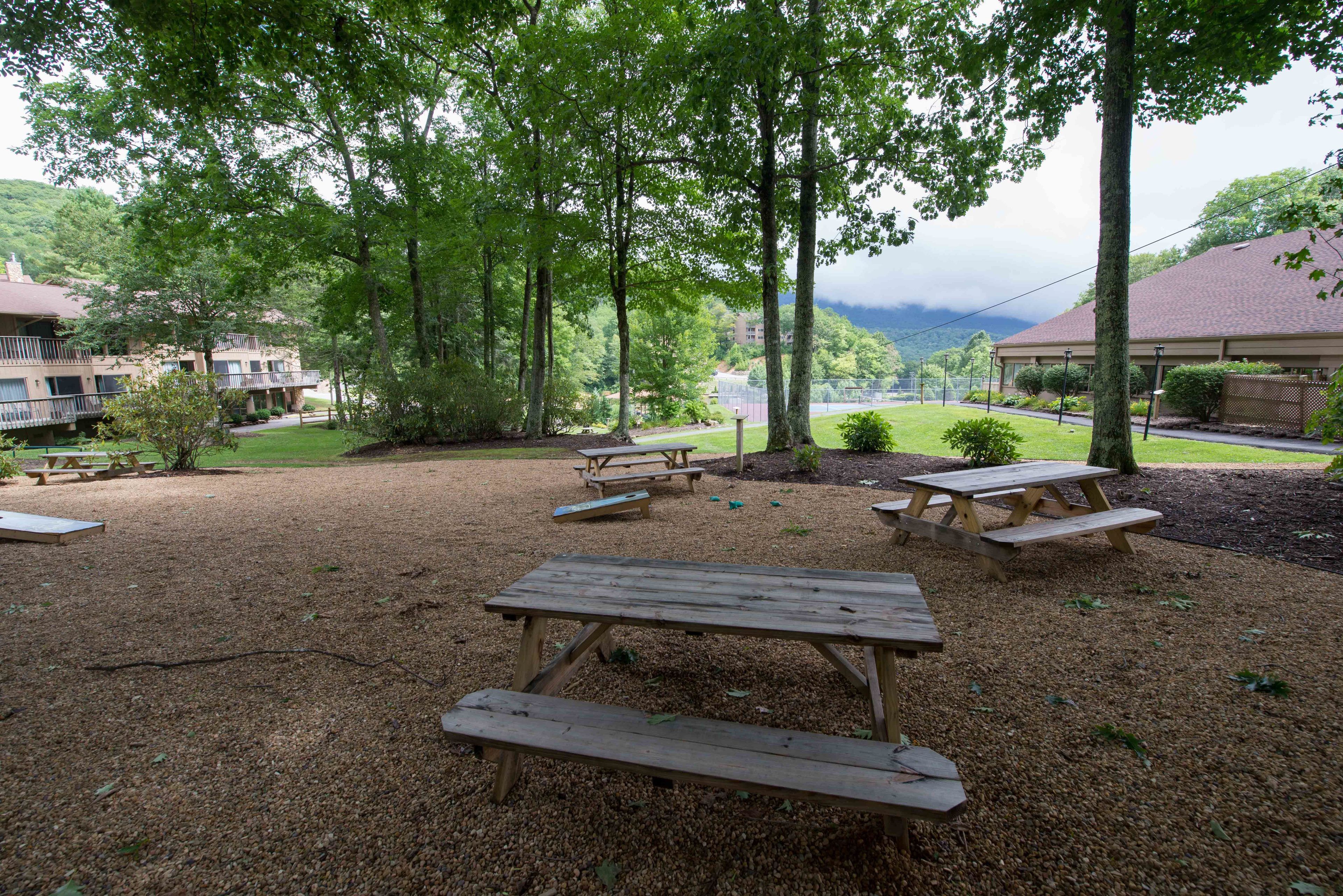 Un espace pique-nique avec des bancs et des tables en bois, entouré d’arbres.