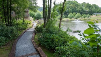 Un sendero que lleva a una masa de agua, rodeado de exuberante vegetación y árboles.