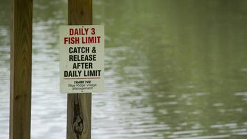 Un poste de madera con un letrero que indica el límite diario de pesca e instrucciones de captura y liberación.
