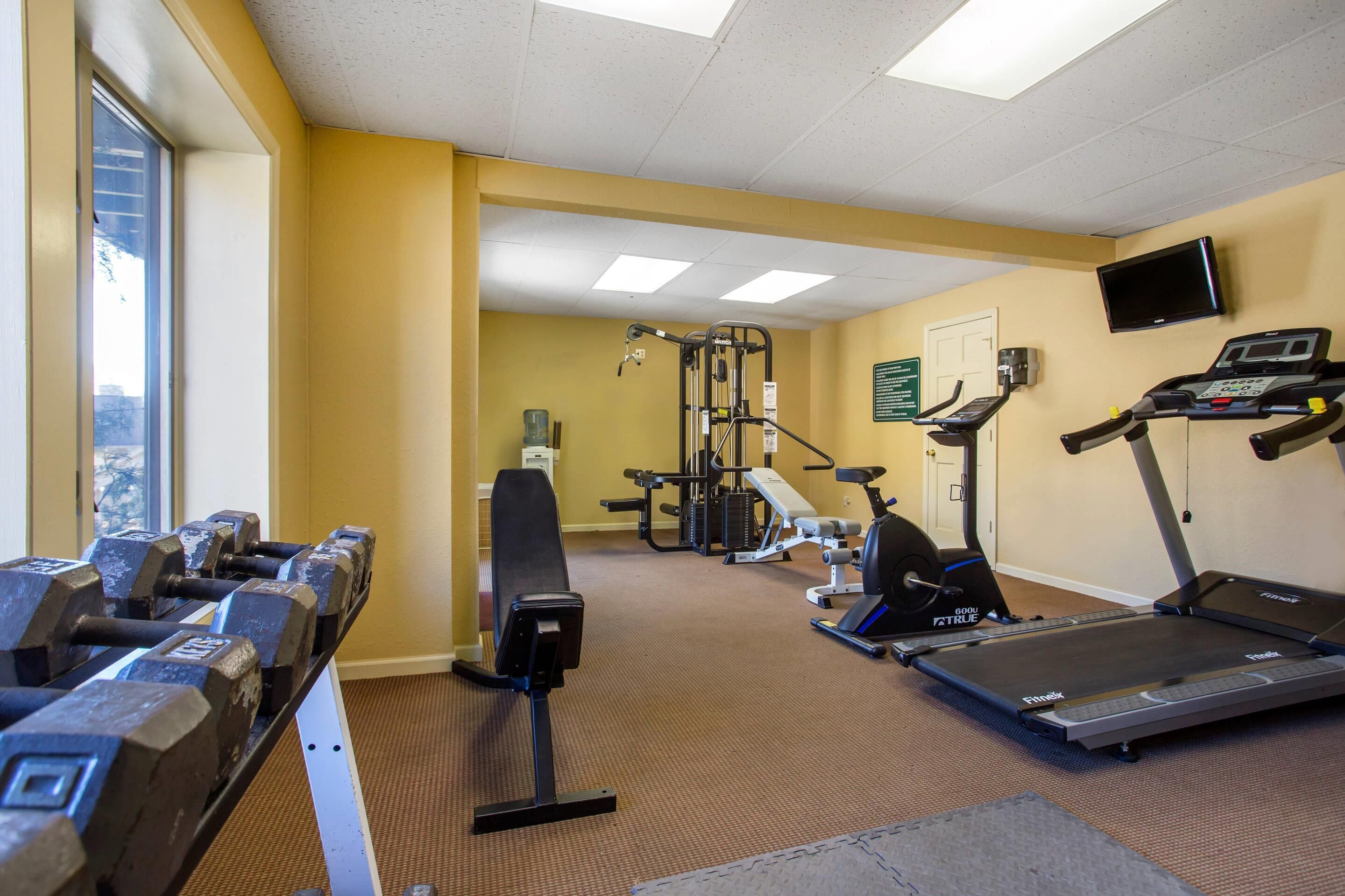 A gym with treadmills, dumbbells, and weight machines.